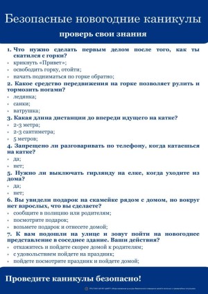 Безопасные новогодние каникулы тест